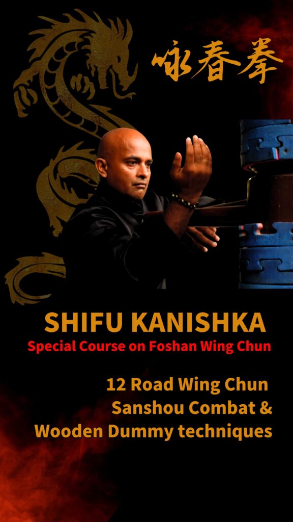 Learn Advance Wing chun India